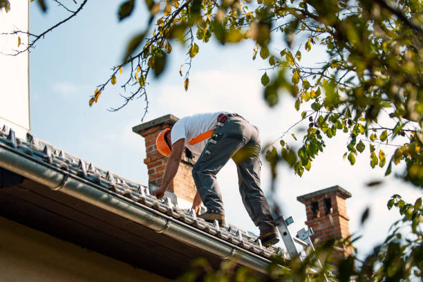 Best Roof Restoration Services  in Bidwell, OH