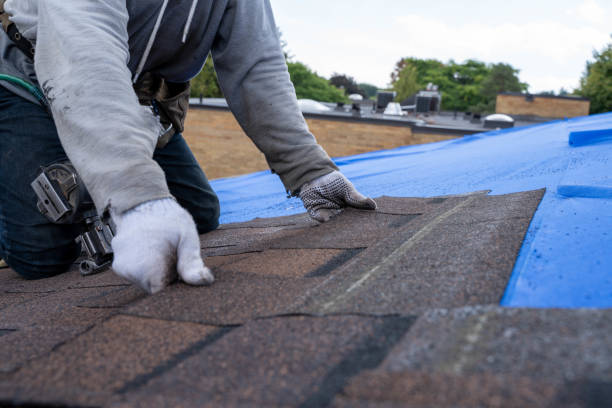 Best Roof Maintenance Services  in Bidwell, OH